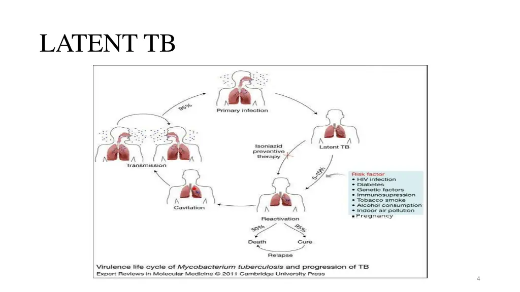 latent tb 1