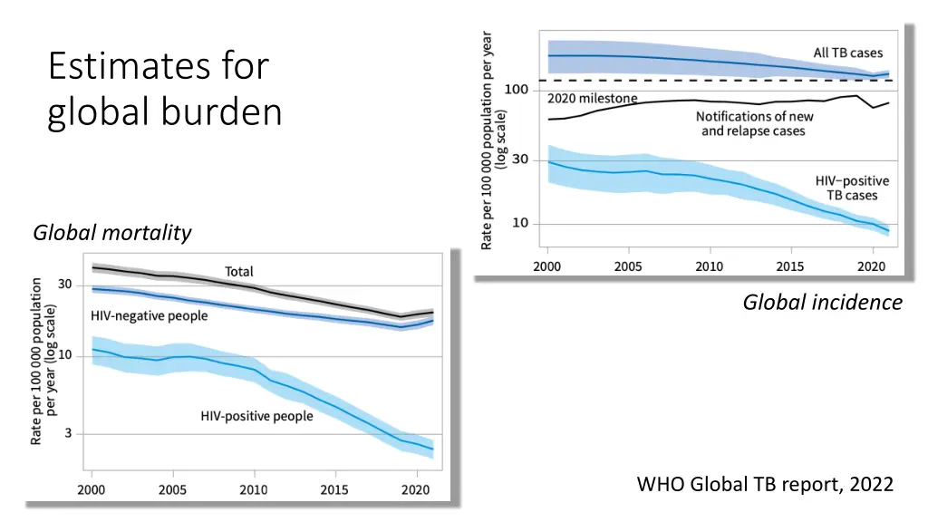 estimates for global burden