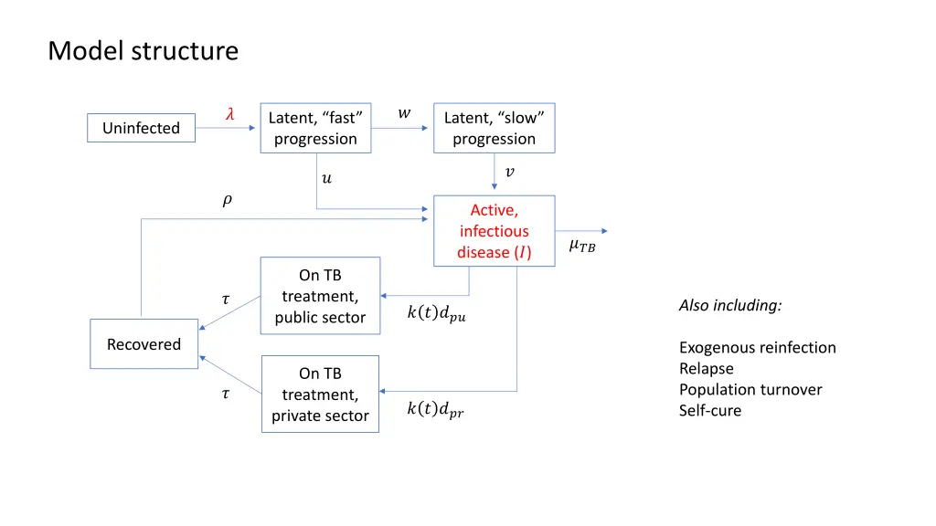 model structure