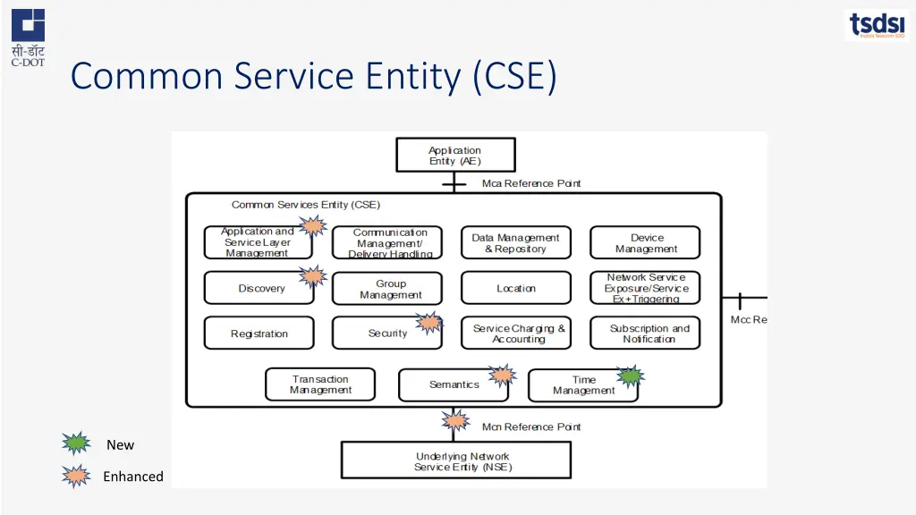 common service entity cse