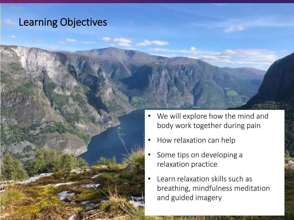 learning objectives learning objectives