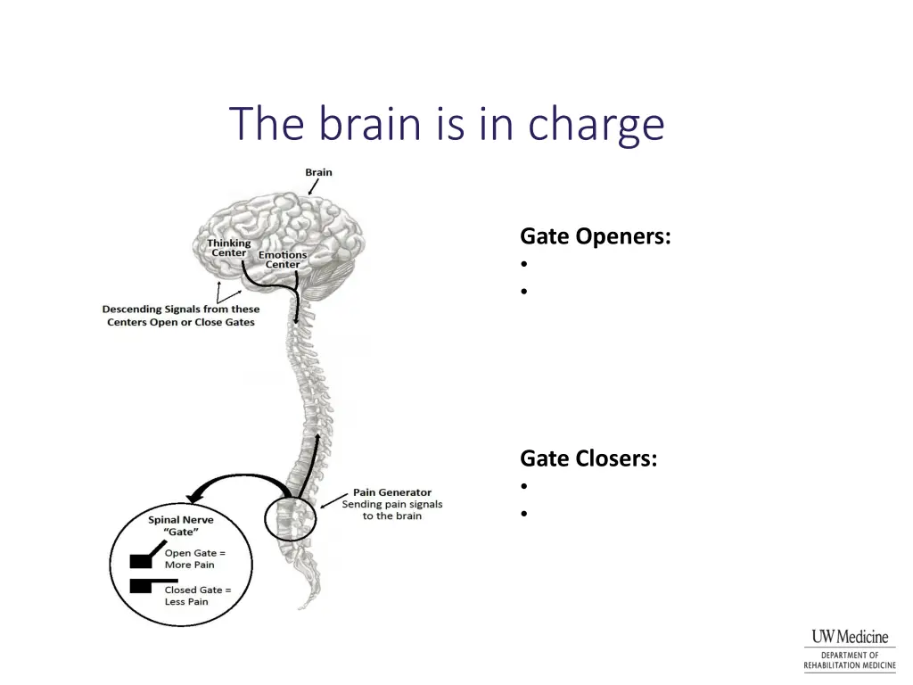 the brain is in charge
