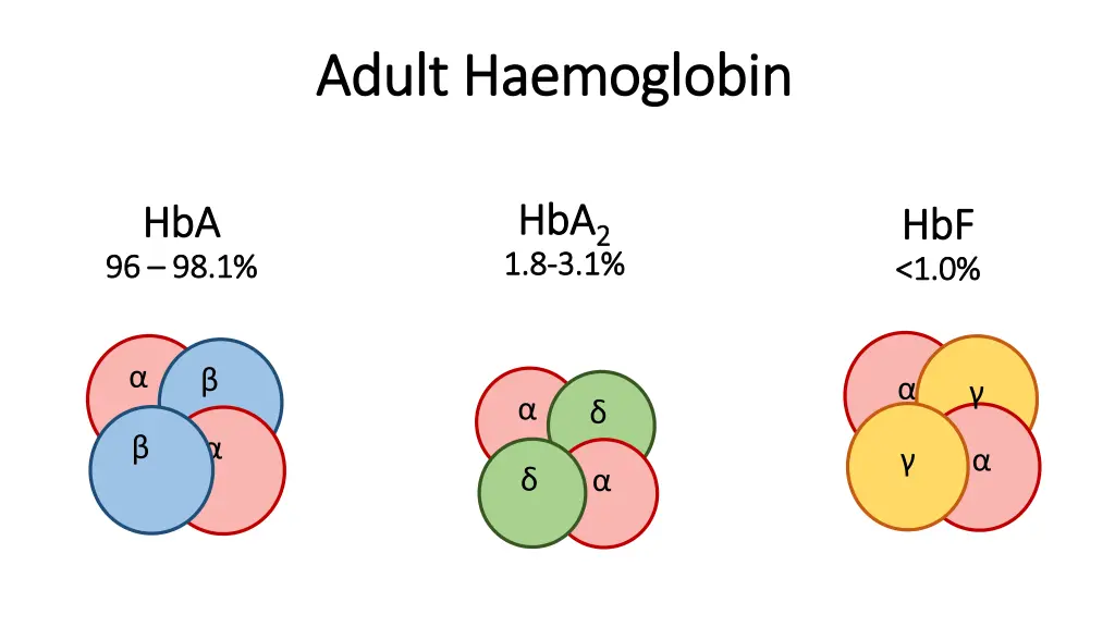 adult haemoglobin adult haemoglobin