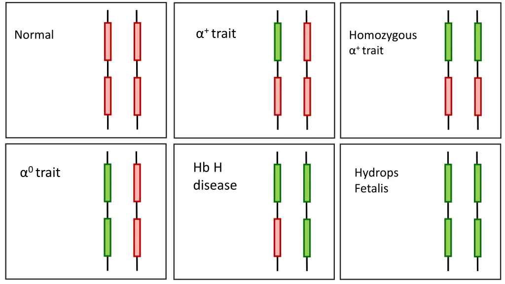 trait