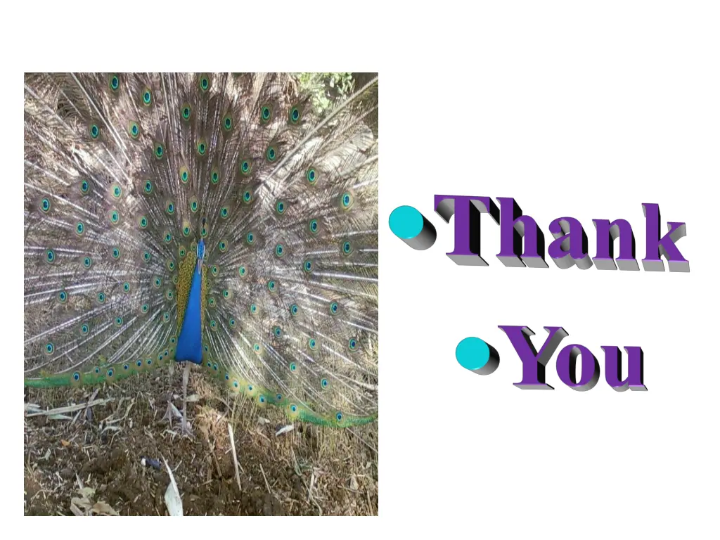 slide28