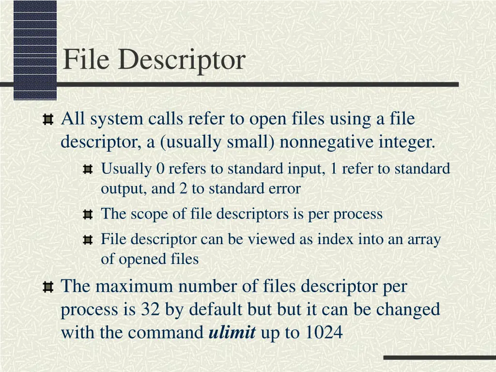 file descriptor