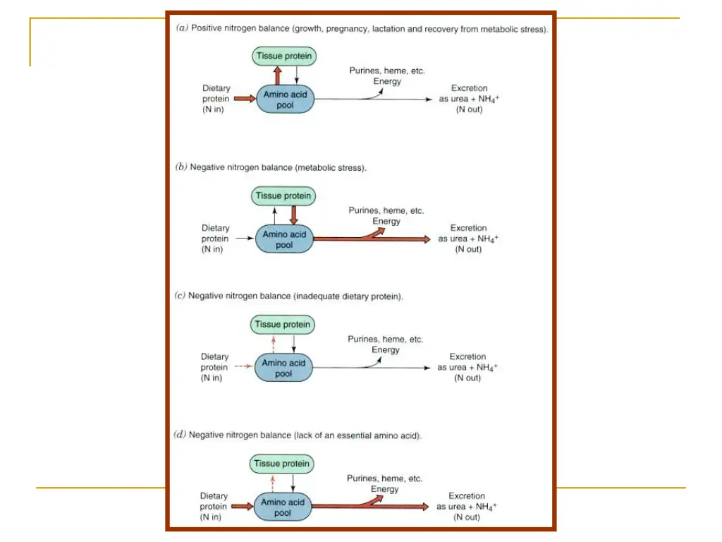 slide11
