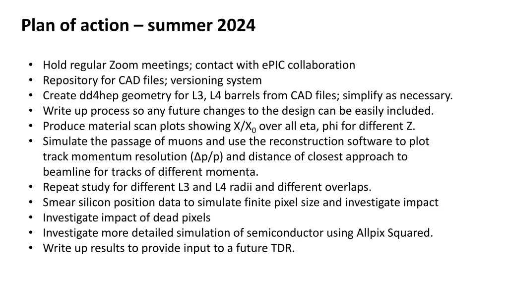 plan of action summer 2024