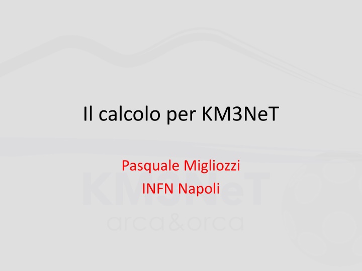 il calcolo per km3net