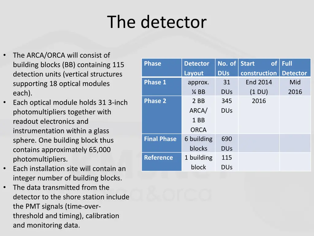 the detector
