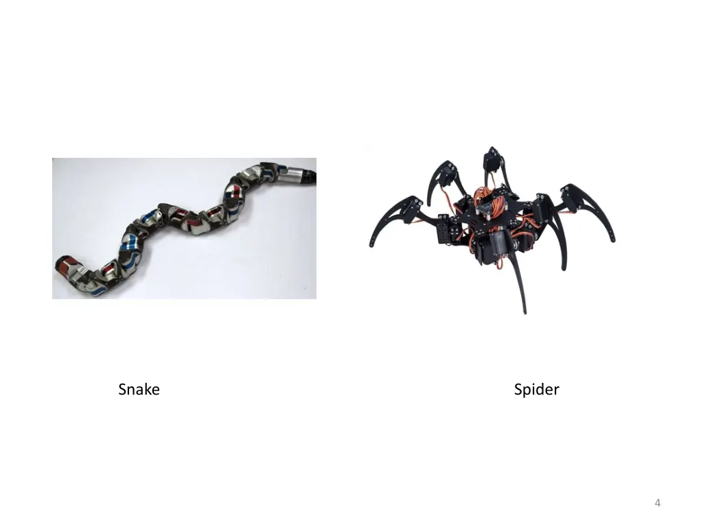 snake spider