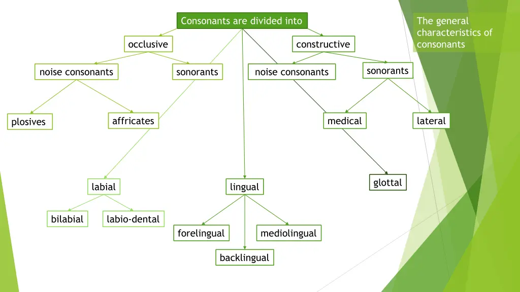 consonants are divided into