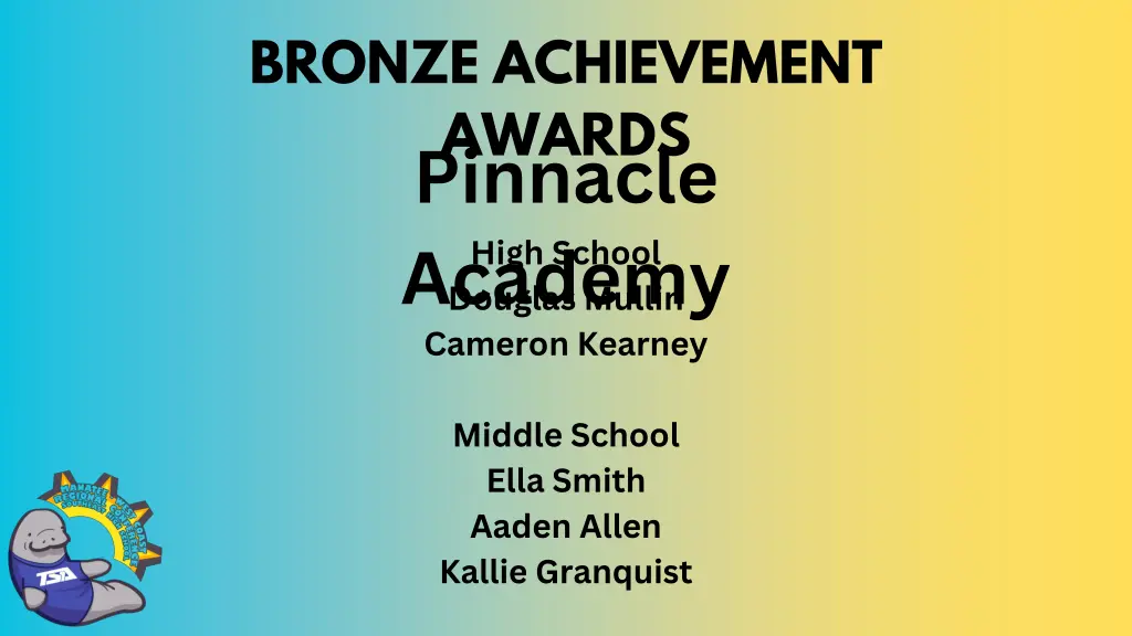 bronze achievement awards pinnacle academy