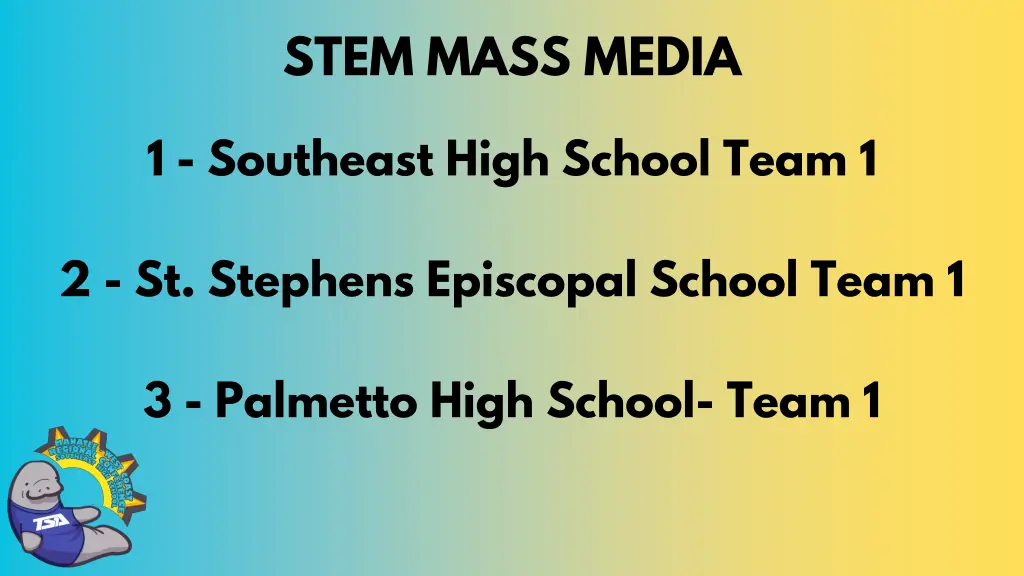 stem mass media