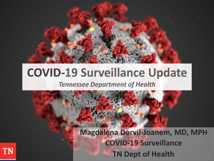 magdalena dorvil joanem md mph covid