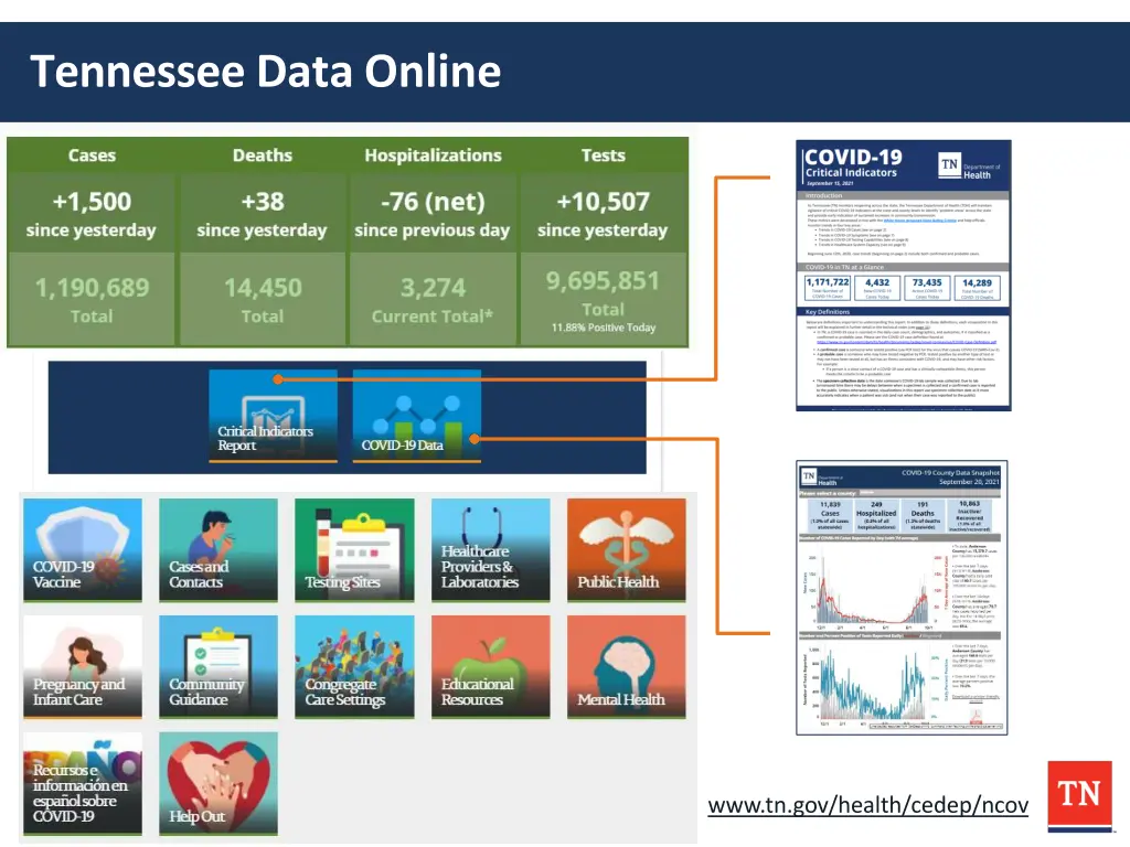 tennessee dataonline