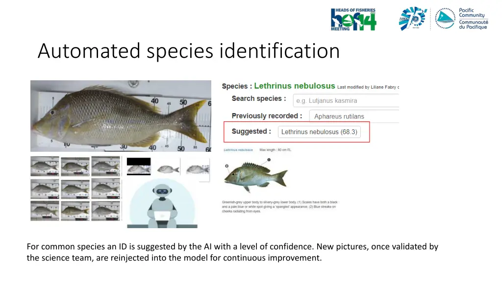 automated species identification