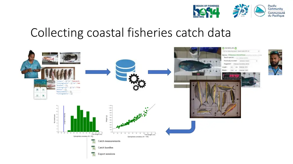collecting coastal fisheries catch data