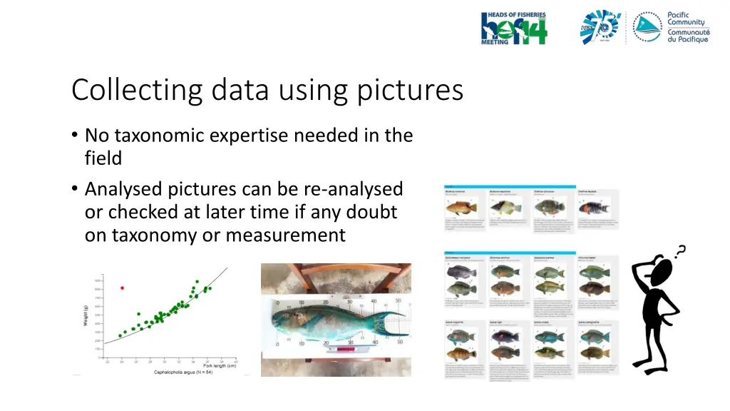 collecting data using pictures 1