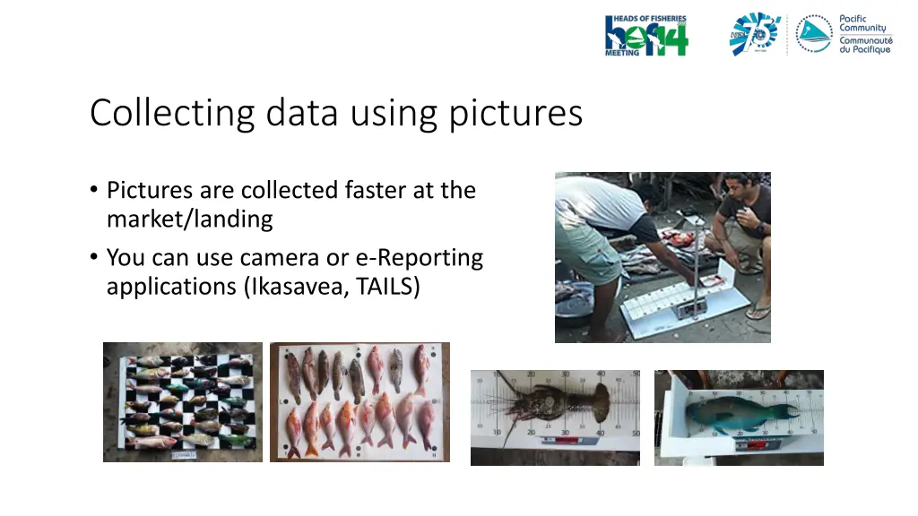 collecting data using pictures