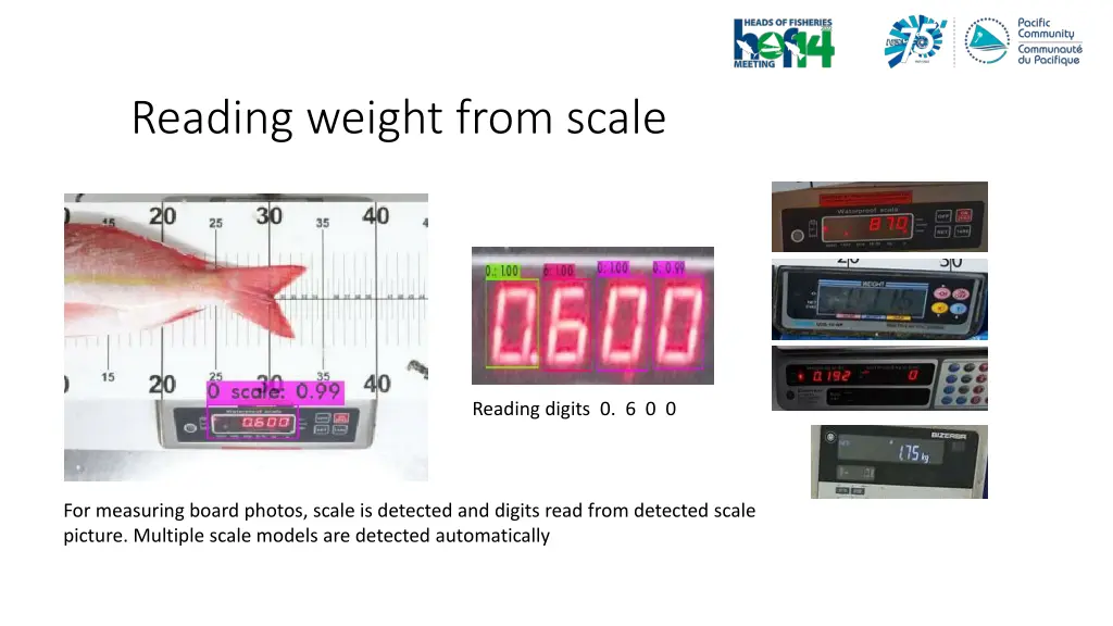 reading weight from scale