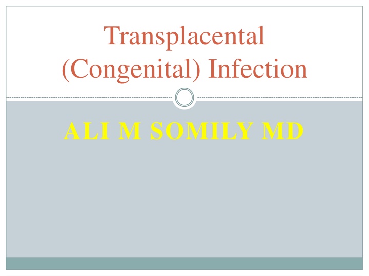 transplacental congenital infection
