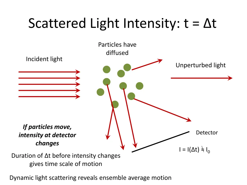 scattered light intensity t t