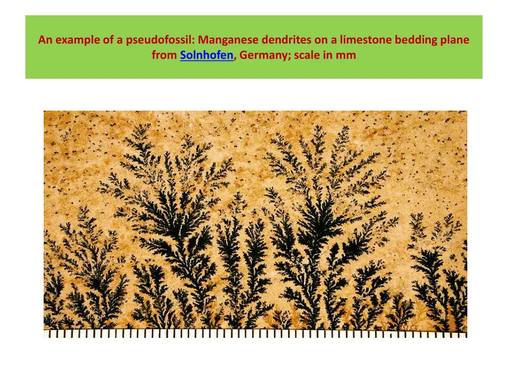 an example of a pseudofossil manganese dendrites