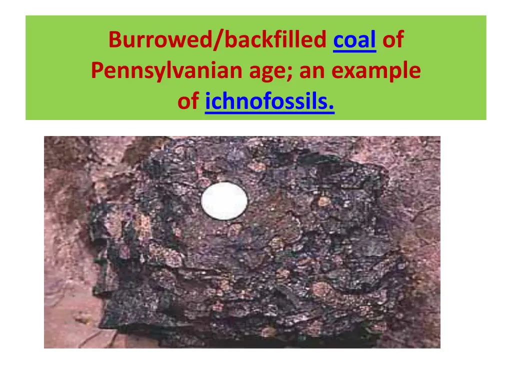 burrowed backfilled coal of pennsylvanian