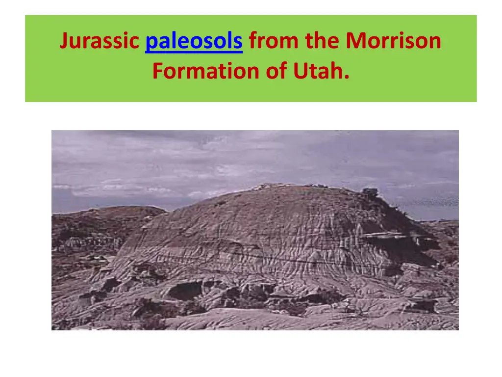 jurassic paleosols from the morrison formation