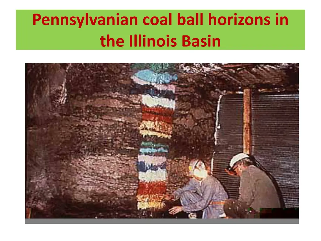 pennsylvanian coal ball horizons in the illinois