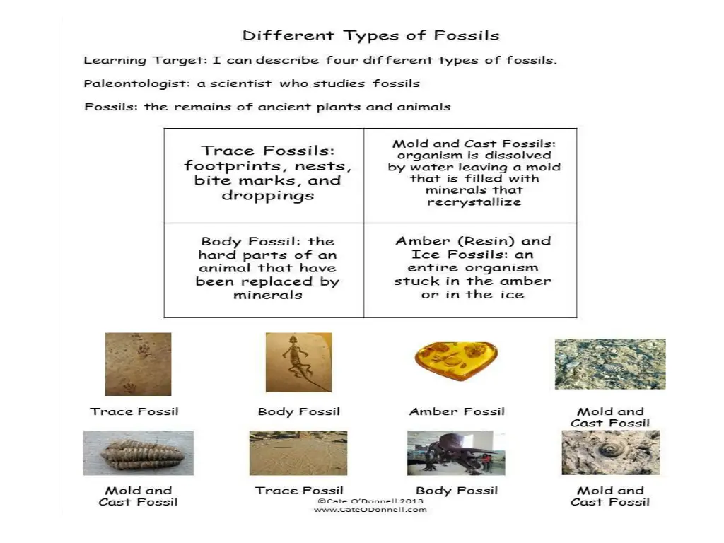 slide2