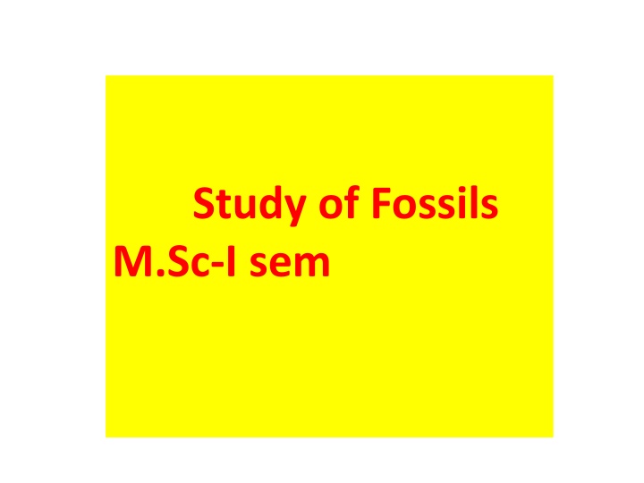 study of fossils m sc i sem