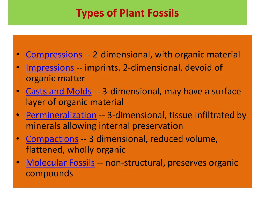 types of plant fossils