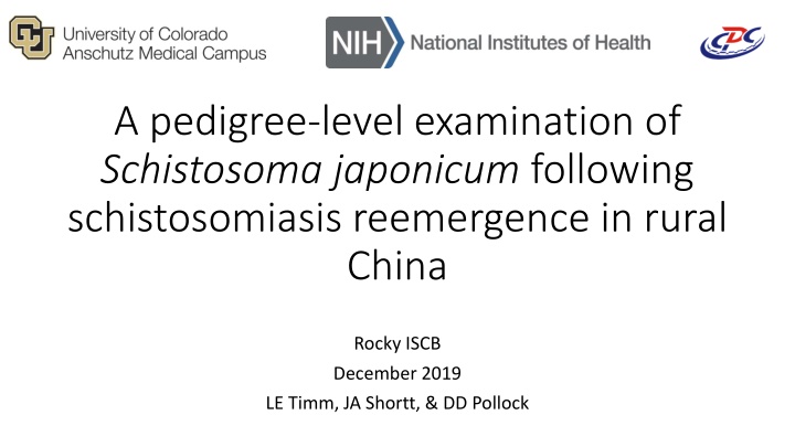 a pedigree level examination of schistosoma