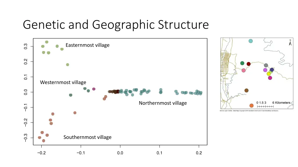 genetic and geographic structure