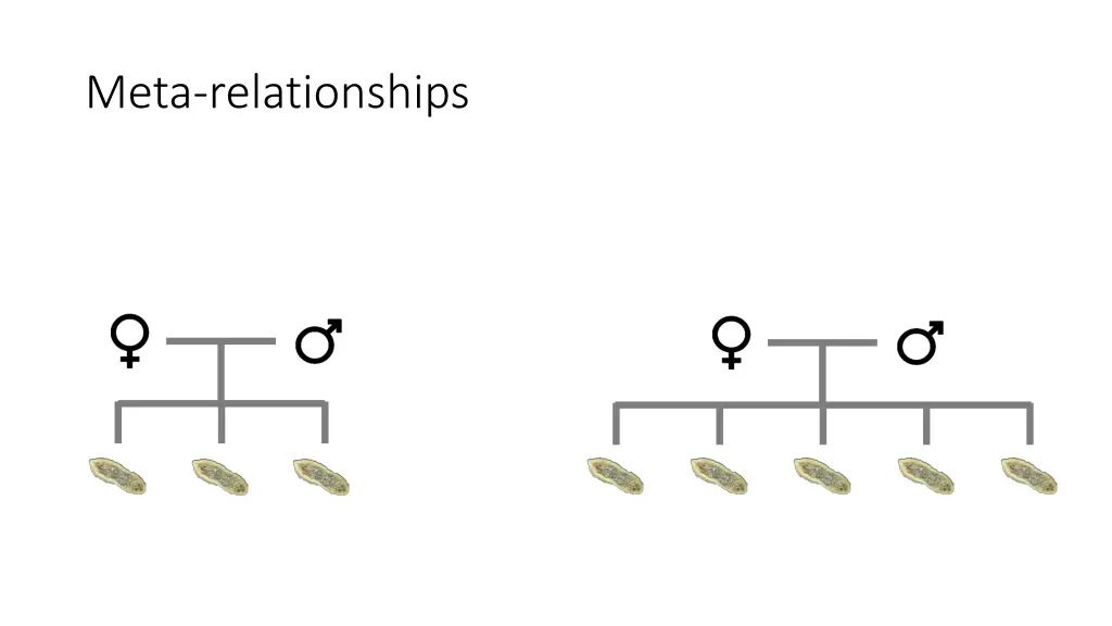 meta relationships 2