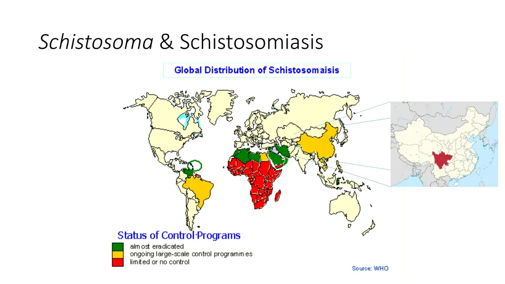 schistosoma schistosomiasis 1