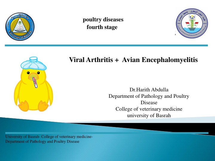 poultry diseases fourth stage