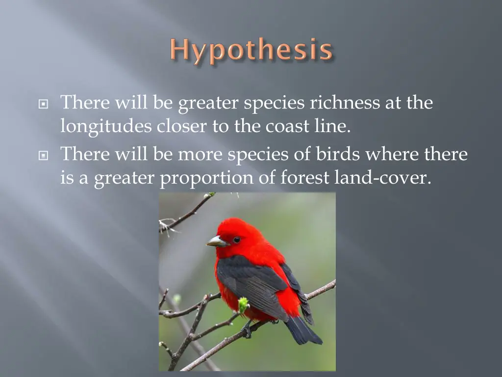 there will be greater species richness