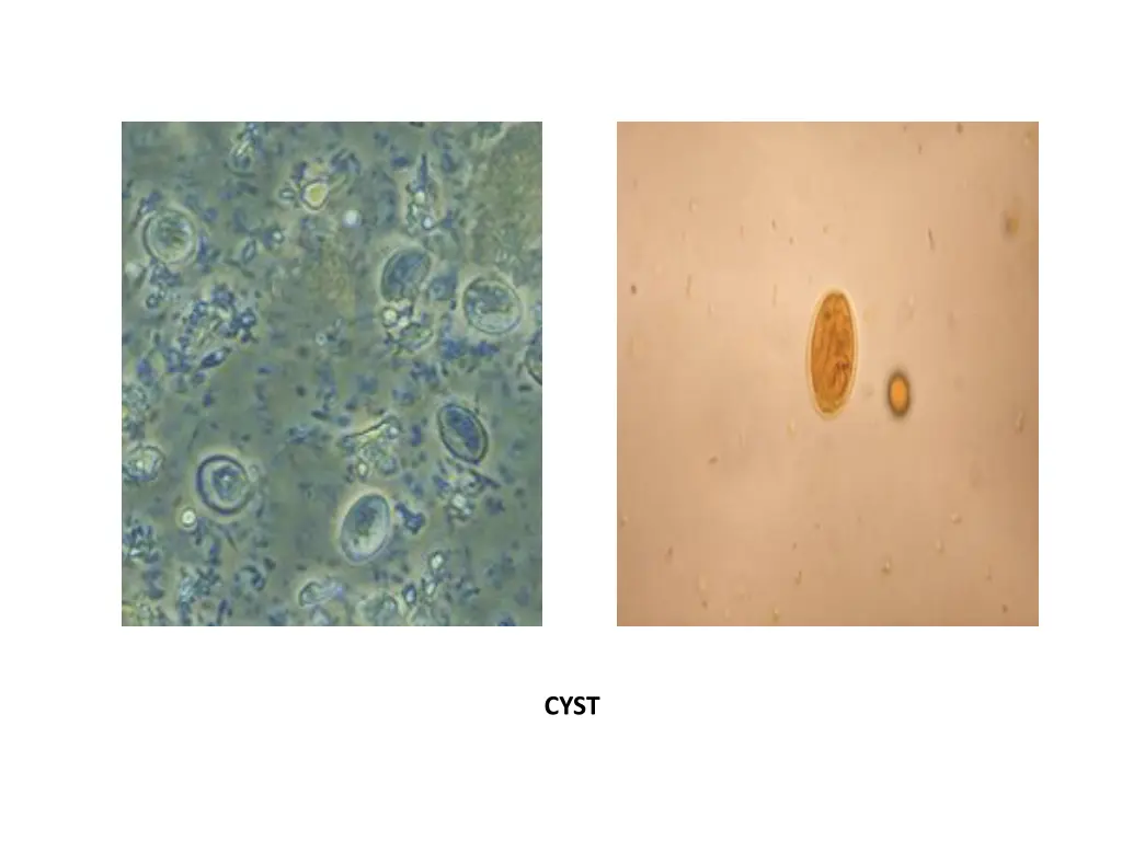 slide9