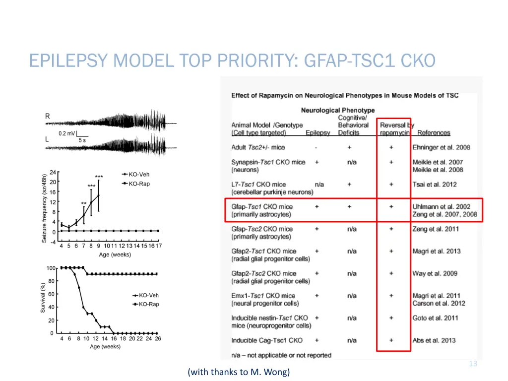 epilepsy model top priority gfap tsc1 cko