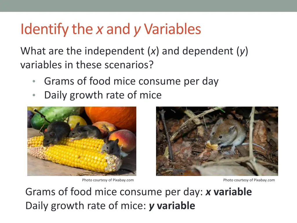 identify the x and y variables