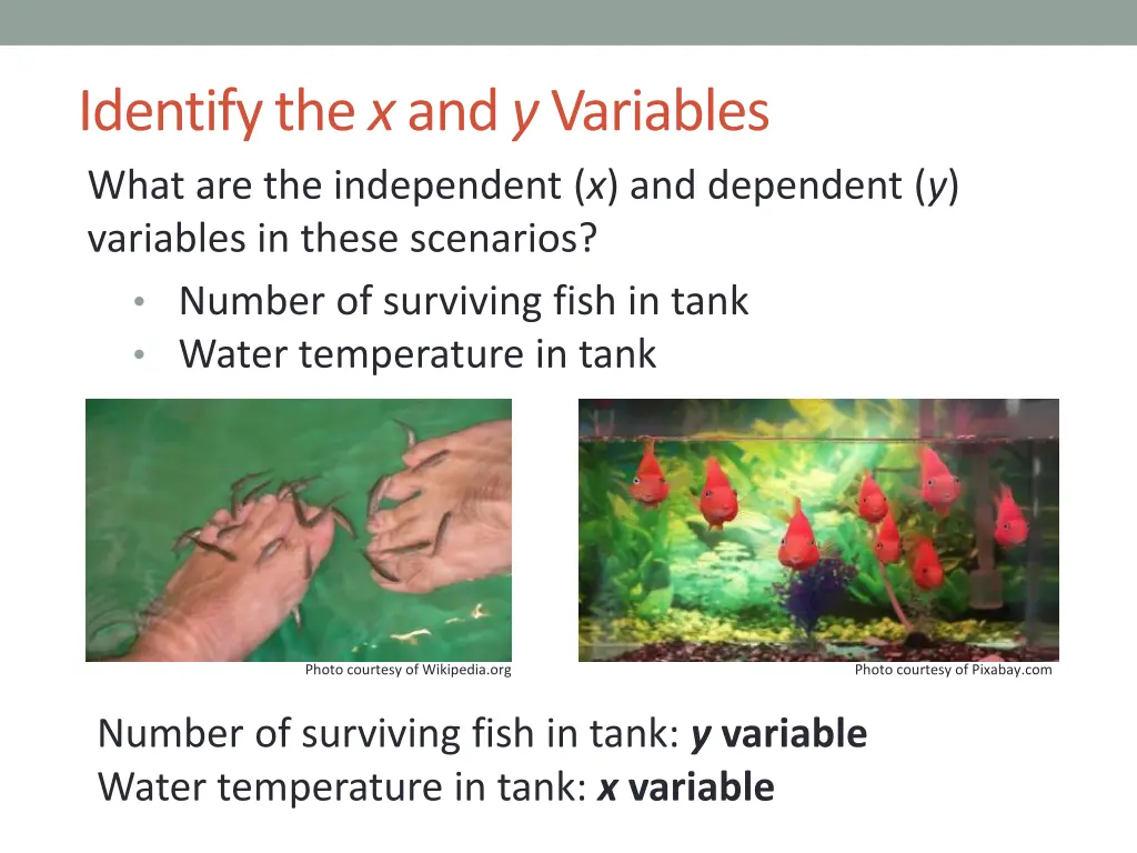 identify the x and y variables what