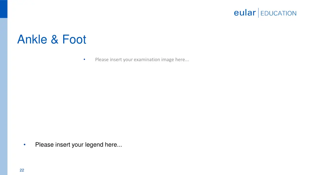 ankle foot 1