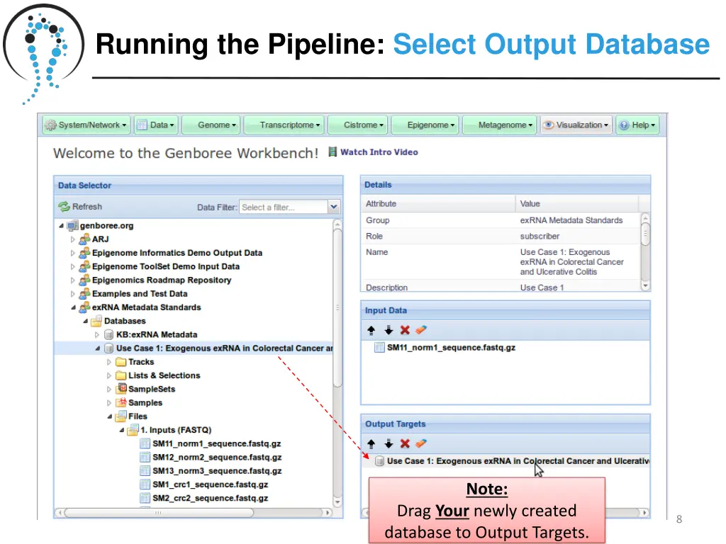 running the pipeline select output database