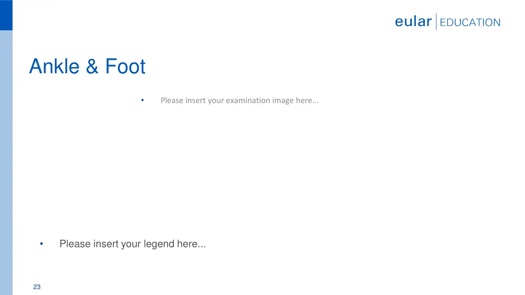 ankle foot 2