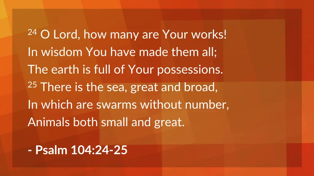 24 o lord how many are your works in wisdom