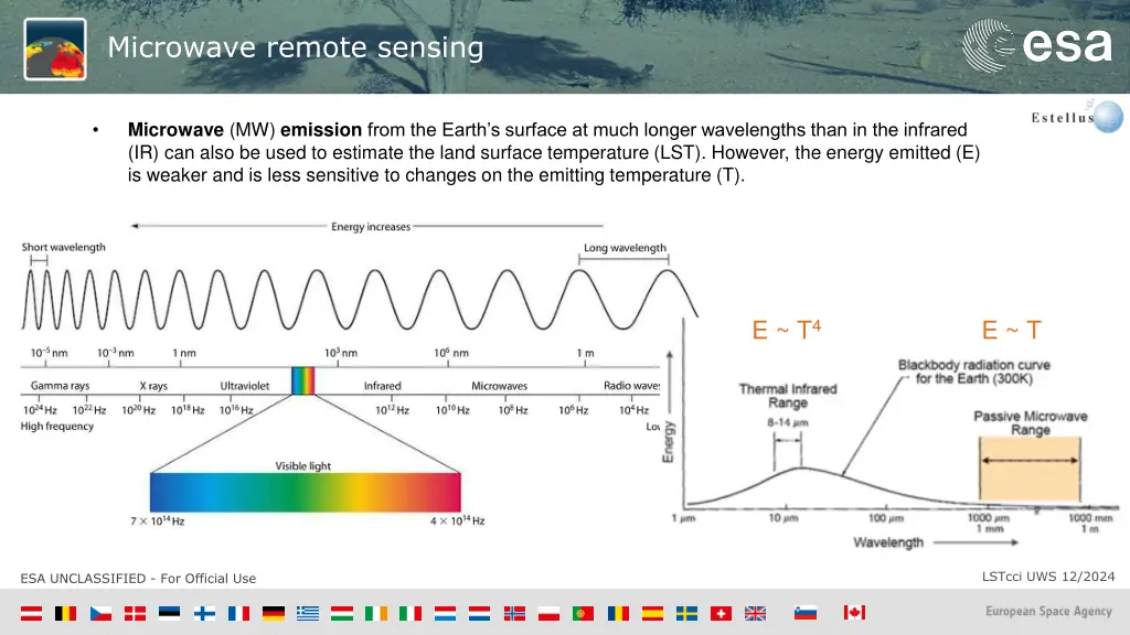 microwave remote sensing
