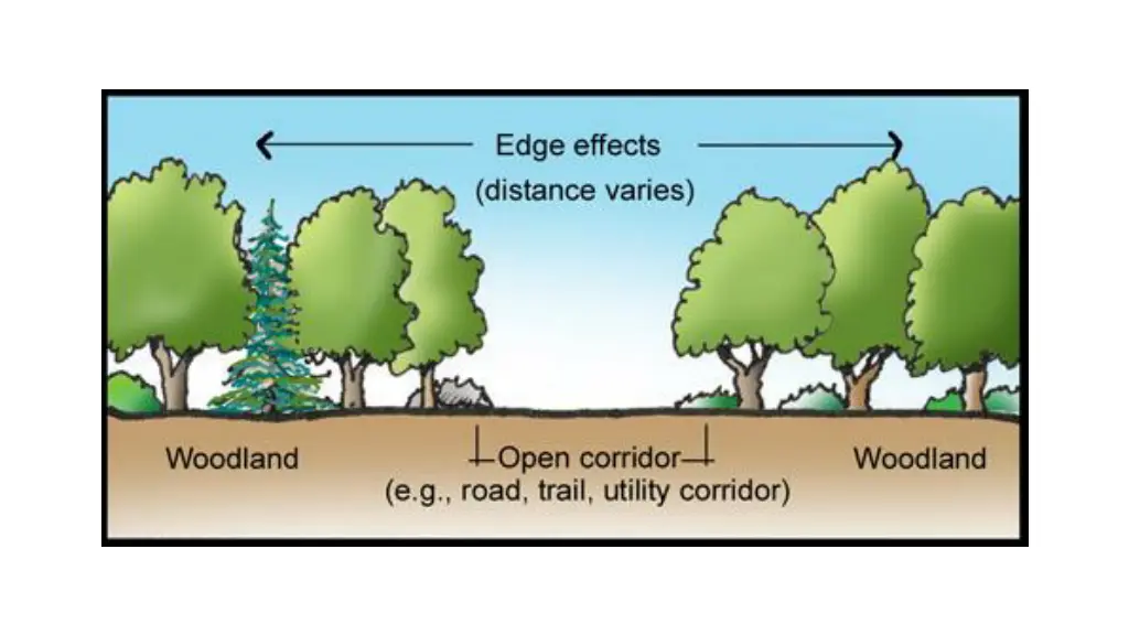 slide9